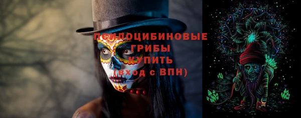 ГАЛЛЮЦИНОГЕННЫЕ ГРИБЫ Абдулино