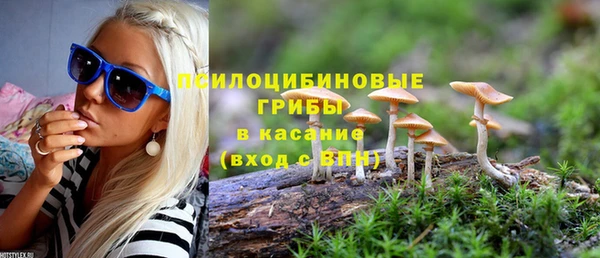 mix Абаза
