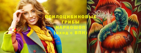 ГАЛЛЮЦИНОГЕННЫЕ ГРИБЫ Абдулино