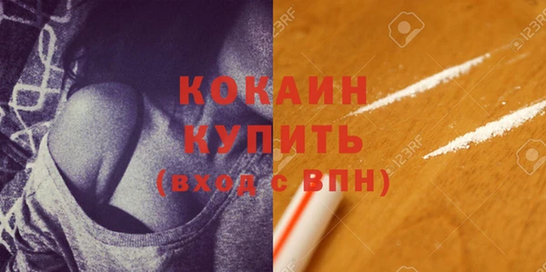 СК Пересвет