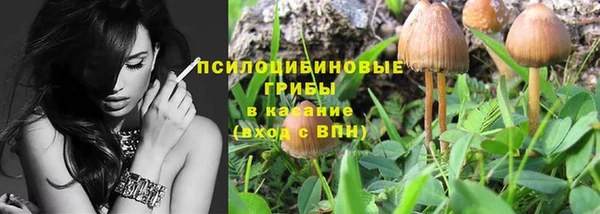ГАЛЛЮЦИНОГЕННЫЕ ГРИБЫ Абдулино