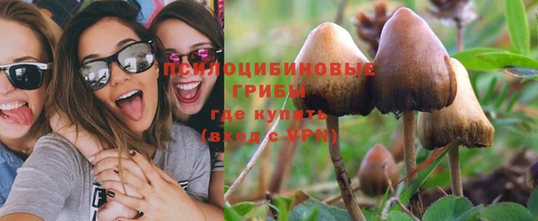 mix Абаза