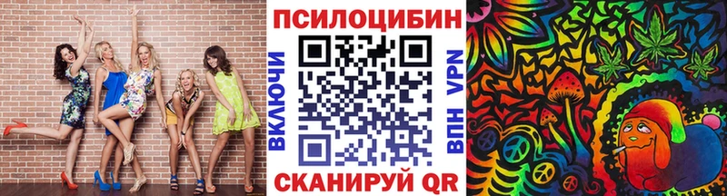 купить наркоту  Тарко-Сале  кракен зеркало  Псилоцибиновые грибы Psilocybine cubensis 