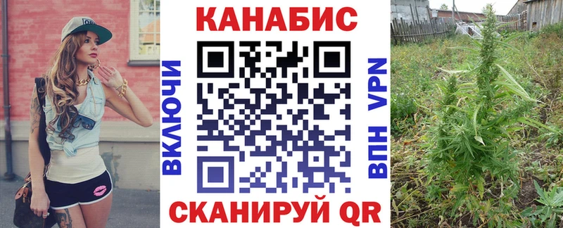 Каннабис семена  Тарко-Сале 